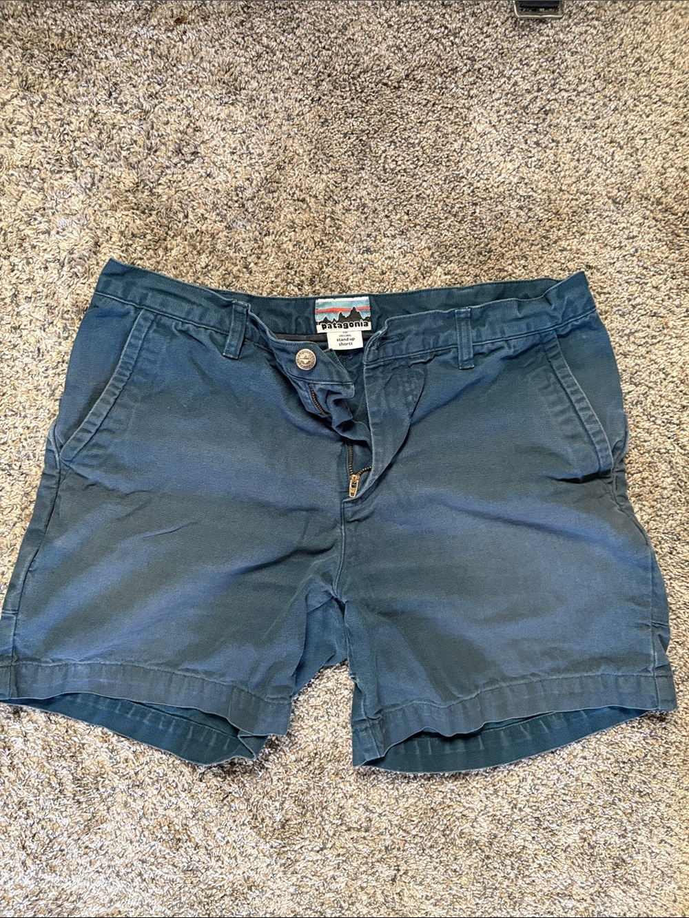 Patagonia Men’s  Stand Up Shorts